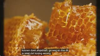 Geluid is de Bron van creatie en genezing.