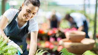JARED'S NURSERY LITTLETON CO | Looking for Lavender Festival Visit Jared's Nursery, Gift and Ga...