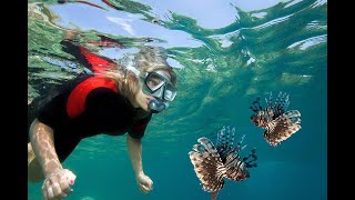 Snokeling Vlog 1 @ Kuruwitu LMMA Vipingo Diving in Mombasa Kenya