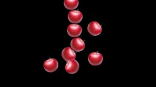 Falling Apple 🍎🍏 Black background Animation Effects stock footage