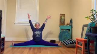 Asana Alignments Class - April 20, 2020 - Forward fold alignments.