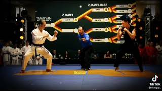 Cobra Kai Hawk VS Robby Evolution
