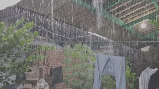 Heavy Rain for Deep Sleep 🌧️ Cozy Roof Rain Sounds at Night