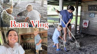 Barn Vlog - Chicken Treat Unboxing, Chicken Coop & Cow Hay 🥰