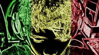 reggae famili busness