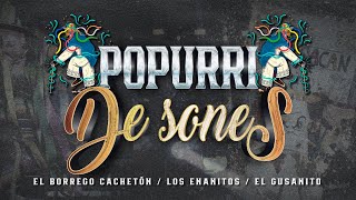 LA DINASTIA DE TUZANTLA - POPURRÍ DE SONES (EN VIVO)
