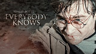 Battle of Hogwarts | Everybody Knows