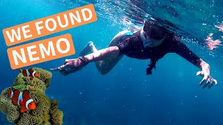 SNORKELING IN THE PHILIPPINES: a magical day on Siquijor Island