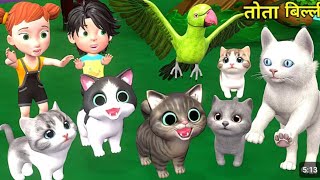 cartoons video cartoon videos 
