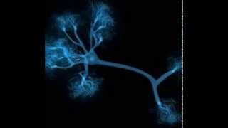 Axonic - Amazing [160]