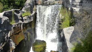 Zoo Gelsenkirchen 00016.MTS