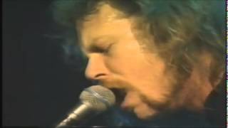 Metallica Harvester of Sorrow (Live 1993 Mexico) RMSTRD.mp4