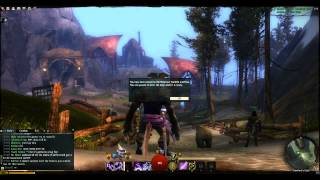 GuildWars 2 - being more of a noob in a new game