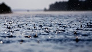 Nature Sounds (Rain, Thunder & Water) - STUDY / WORK / RELAX