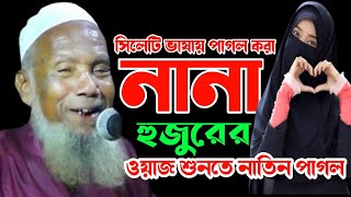 bodrul alom chandpuri waz । জীবনের সেরা হাসির ওয়াজ নানা হুজুর । বদরুল আলম চন্ডিপুরী হাসির ওয়াজ।