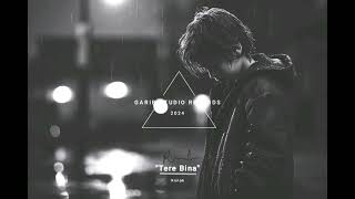 "Tere Bina"