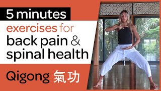 5 Minute Qi Gong Routine for Back Pain Relief and a Healthy spine