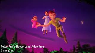 Peter Pan's Never Land Adventure | Tokyo DisneySea