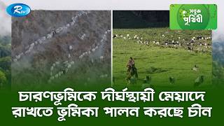 চারণভূমিকে দীর্ঘস্থায়ী মেয়াদে রাখতে ভূমিকা পালন করছে চীন | Sobuj Prithibe | Rtv