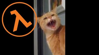 Half-Life Cat Having a Bad Day (Press 4)