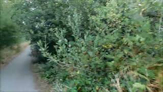 SANDY LANE Cronton  September 2025