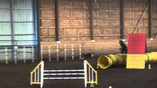 SHOCK SUN STEEPLECHASE 2 RHR 1 26 2014