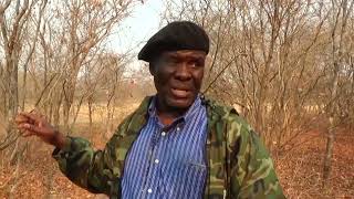 ZIPRA Commander pays homage to his fallen comrade,forty two years after his death.