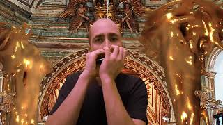 Vivaldi four seasons spring autumn on harmonica
