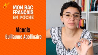 My French Baccalaureate in my pocket - Alcools by Guillaume Apollinaire