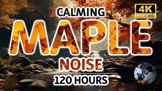 Calming Maple Brown Noise For Study, Sleep, Tinnitus Relief & Focus | 120 Hours BLACK SCREEN