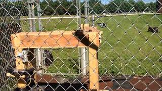 Bearingless Variable Pitch Rotor Test