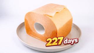 200 Days of a Spider Living on a Wet Toilet Paper