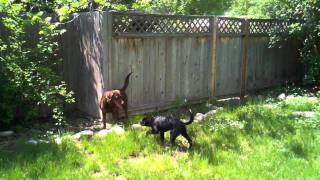 Playing with new friends!!!