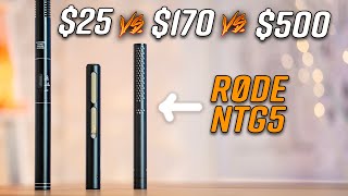 $25 vs $500 Shotgun Microphone! - Rode NTG5 Worth it?