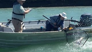 Kenai Kinging In The Klamath