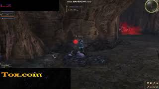 L2 Tox  Event Raid Boss Hunter  ''Queen Ant''  !!!