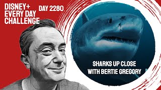 Sharks Up Close with Bertie Gregory - day 2280 - Disney+ Every Day Challenge