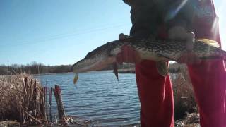 Northern pike fishing 2