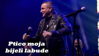 Baja Mali Knindza - Ptico moja bijeli labude (Backa Palanka, UZIVO)