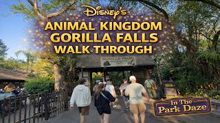 Gorilla Falls Exploration Trail Full Walkthrough | Light Crowds Mid Morning Animal Kingdom 2026 🦍✨