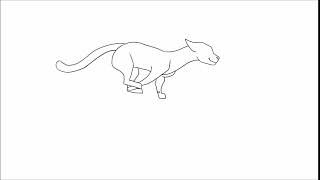 Cat Run Cycle