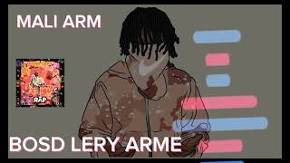 BOSD LERY ARME VIVANT DU ROYAUME RAP MALI .