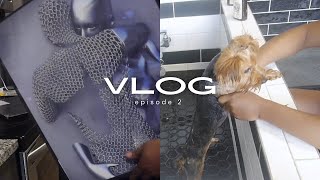 Life w/ Miley: Ep. 2 | walmart driver stole my tv, grooming mylo, new couch, temu home decor
