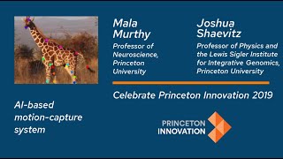 AI-based motion-capture system for lab animals