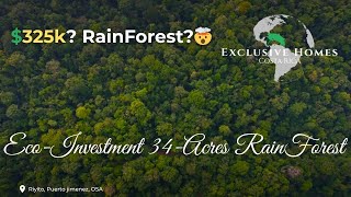 $325K Rainforest Land in Costa Rica (34 Titled Acres!) | Puerto Jiménez