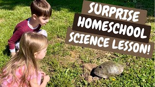 Momma Turtle Lays Her Eggs In Our Front Yard! | Surprise Homeschool Lesson | Pros of Homeschooling
