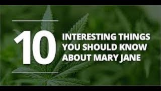 History Of Marijuana - 10 Interesting things you should know about marijuana The Magic Weed