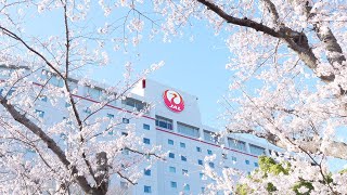 ホテル日航成田 Hotel Nikko Narita  成田国際空港 Narita International Airport Sakura 日本航空 JAL 桜フォトグランプリ受賞 Transit