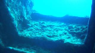 inside thislegorm