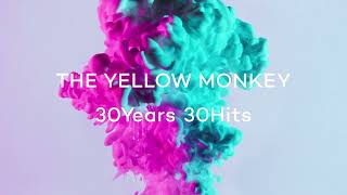 THE YELLOW MONKEY – SO YOUNG -2022 Remaster- (Official Audio)